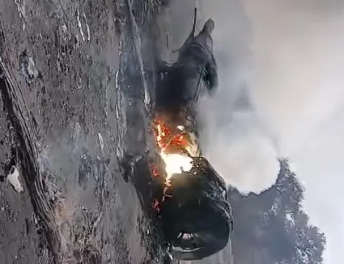 RSF shoots down SAF military plane