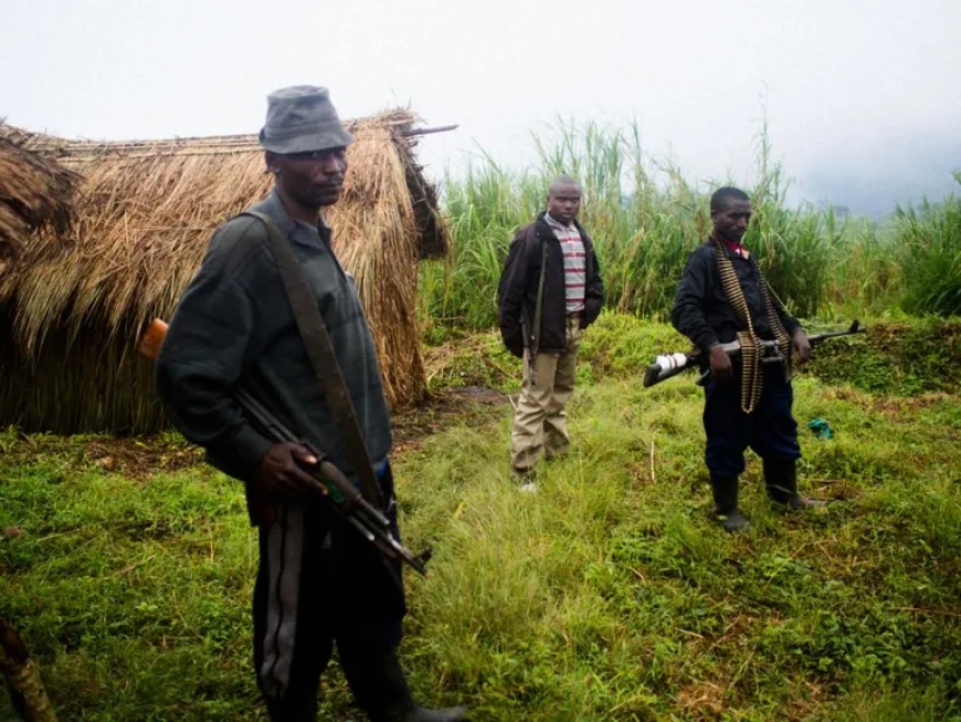 “We will fight until Kigali agrees to talks,” FDLR declares