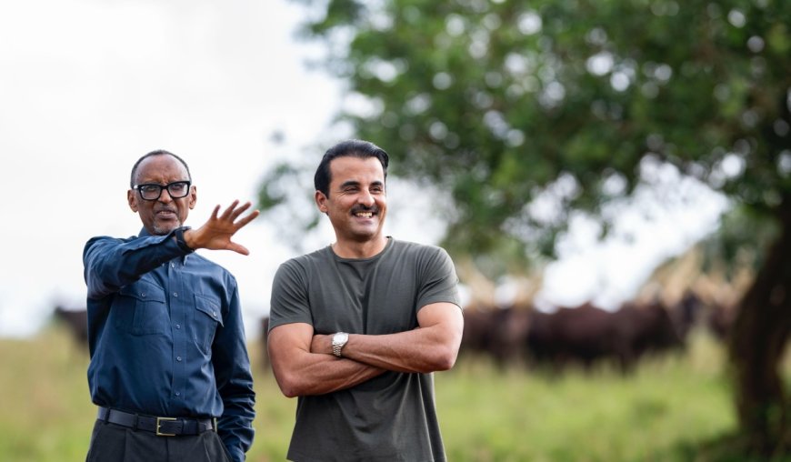 Kagame gifts Inyambo cows to Emir of Qatar