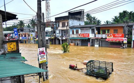 Sri Lanka declares emergency as death toll rises to 330