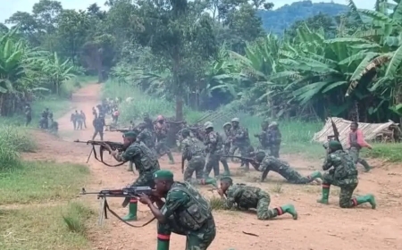 Fighting resumes between FARDC coalition and AFC/M23 in South Kivu