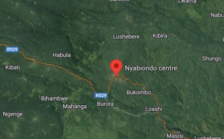 Masisi: precarious calm in areas near Nyabiondo after clashes between AFC/M23 rebels and the wazalendo in Kinyumba