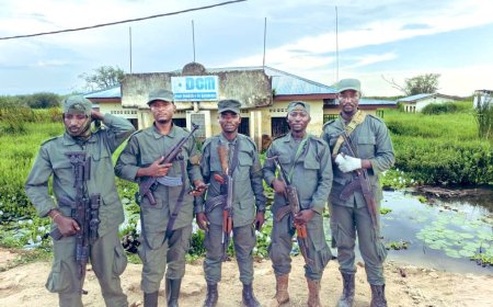 AFC/M23 announces capture of Uvira