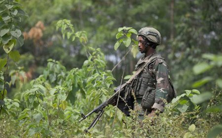 Clashes Erupt in Fizi Territory as Government Forces Repelled by AFC/M23