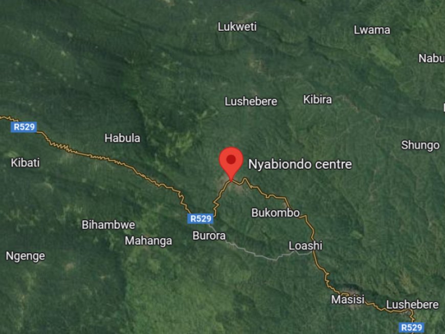 Masisi: precarious calm in areas near Nyabiondo after clashes between AFC/M23 rebels and the wazalendo in Kinyumba