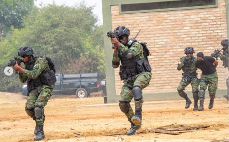 UN Experts Accuse Rwanda of Deploying Two Commando Battalions to DRC