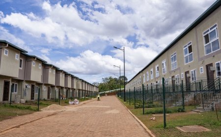 Rwanda explains arbitration case against UK over cancelled migration partnership