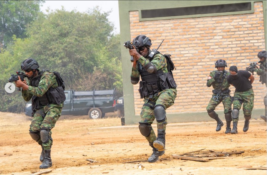 UN Experts Accuse Rwanda of Deploying Two Commando Battalions to DRC