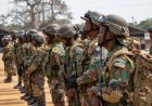 Angolan forces officially Join War Against AFC/M23 in DRCongo