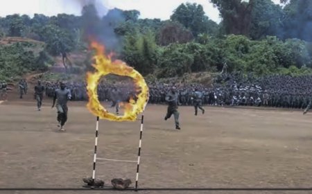 AFC/M23 integrates over 7,500 new soldiers