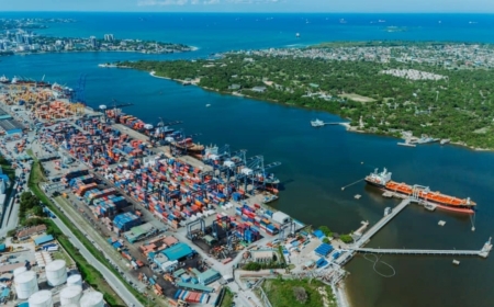 Africa and the new world order: Actor or arena?