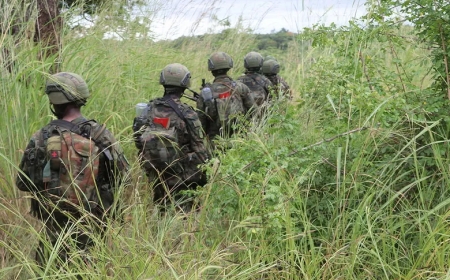 Three Rwandan Soldiers reportedly Killed in intense clashes in Mozambique, Sources Say