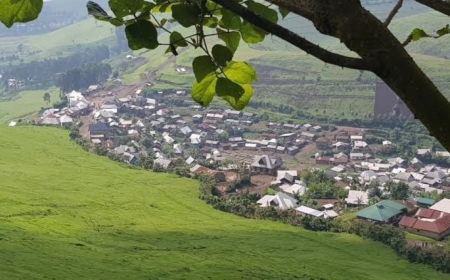 FDLR kills 19-year-old woman, 15 cows in Masisi, says AFC/M23