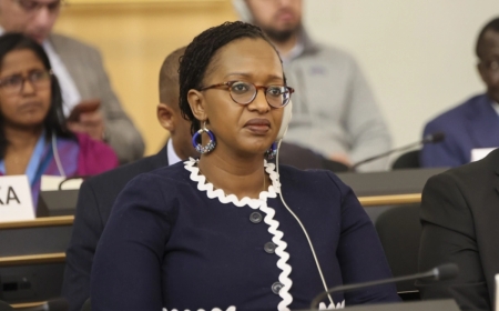 Amb. Bakuramutsa blames DR Congo for protracted insecurity