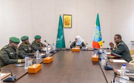 RDF, Ethiopia defence minstry talk cooperation in artificial intelligence