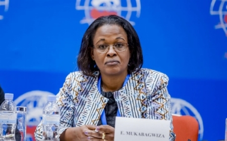 Edda Mukabagwiza appointed co-president of refugee Appeal Tribunal
