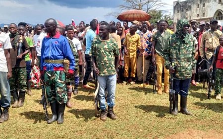 Military Training Reported in Kibira Forest Involving Imbonerakure and Foreign Fighters