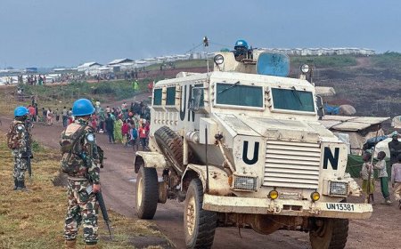 Goma Tragedy: Did Western Backing of Tshisekedi Cost a UN Worker’s Life?