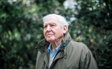 British naturalist’s Netflix documentary revisits Rwanda’s gorilla legacy