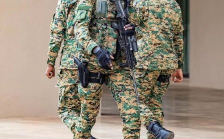 Washington: Rwandan Official’s Bodyguard Confronted by Congolese Security