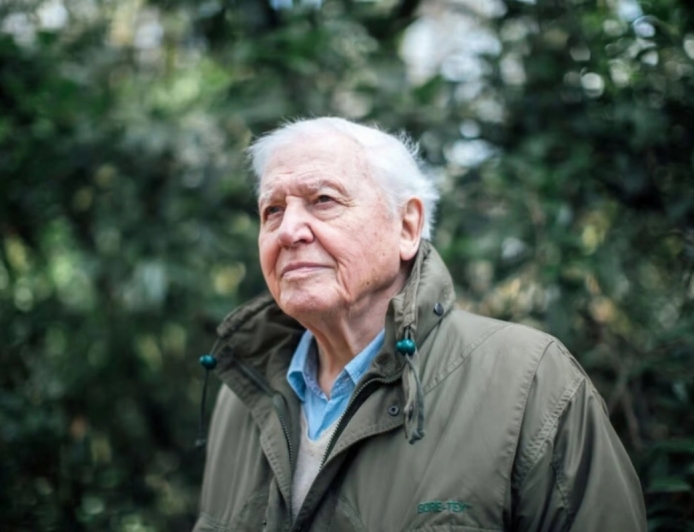 British naturalist’s Netflix documentary revisits Rwanda’s gorilla legacy