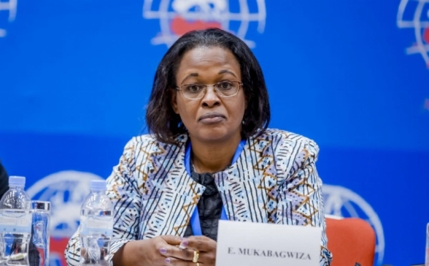 Edda Mukabagwiza appointed co-president of refugee Appeal Tribunal