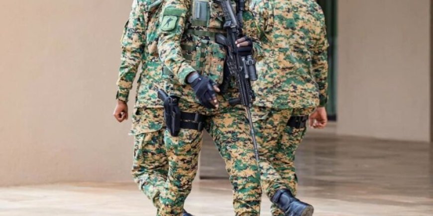 Washington: Rwandan Official’s Bodyguard Confronted by Congolese Security