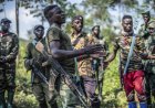 No peace without FDLR neutralization, Rwandan envoy tells UN Security Council