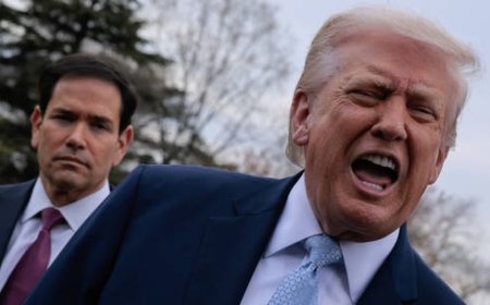 Trump tells ‘useless’ NATO to ‘stay away’ from Hormuz