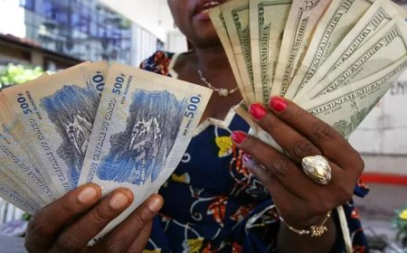 DRC government to end use of dollars