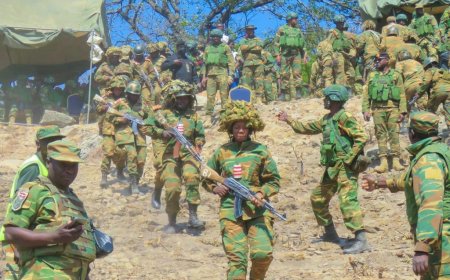 DR Congo: Zambian Troops Seize Muliro and Moba in Tanganyika Province