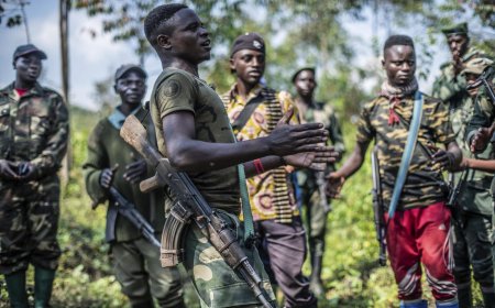 Suspected FDLR Fighters Kill 77-Year-Old Man, Kidnap Two in Eastern Congo
