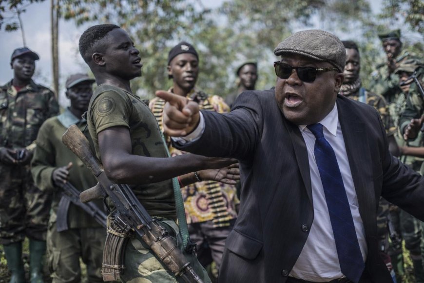 FARDC, FDLR and Allied Militias Held Strategy Meetings in Walikale