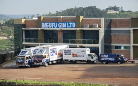 Rwanda Suspends Ingufu Gin Ltd, NBG Ltd, and Several Other Beverage Factories